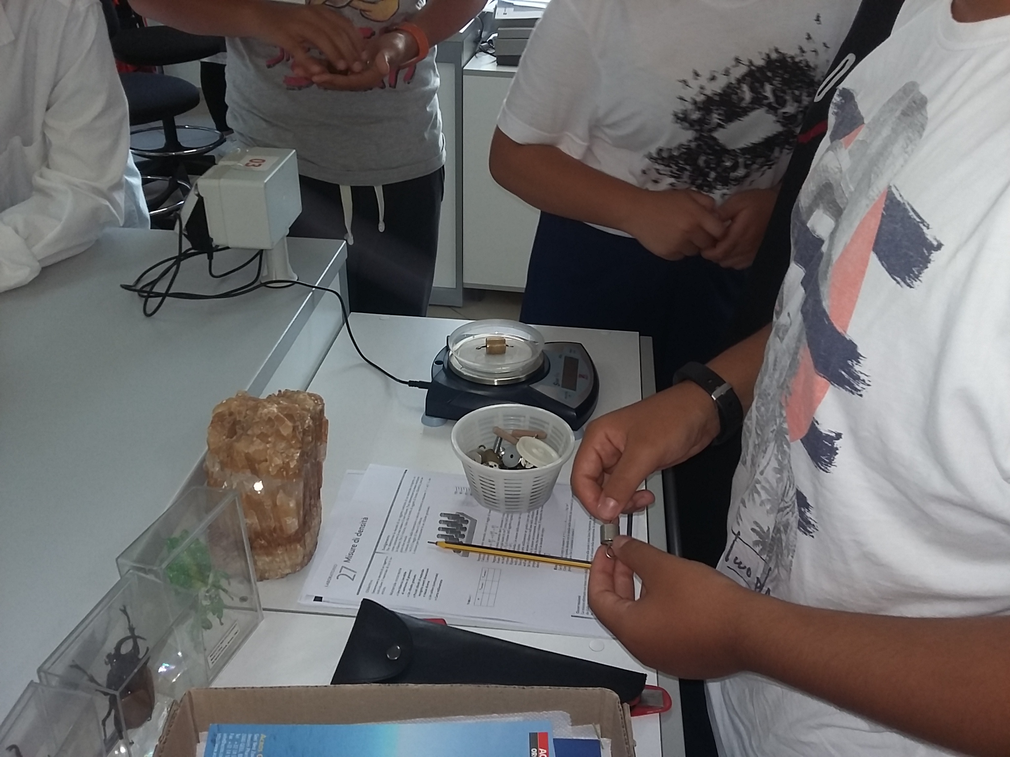 Lab scienze2