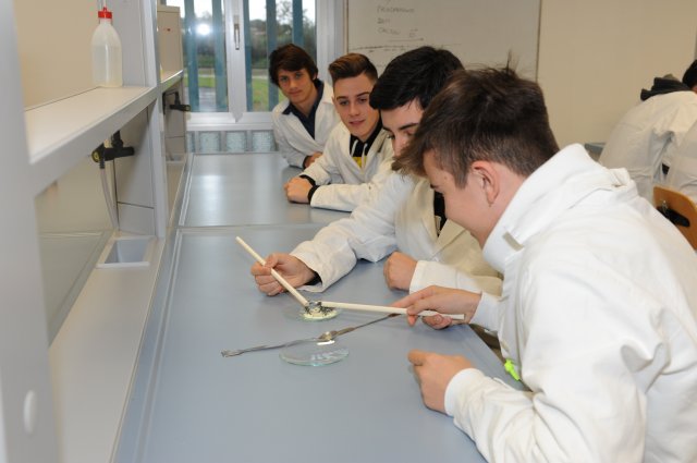 Foto del Polo Tecnico